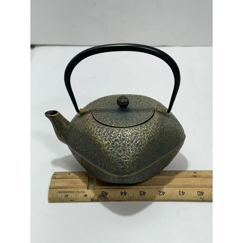 Japanese Rock Casting Iron Tea Pot‎ Kettle With Infuser Gorgeous Teapot Japan
